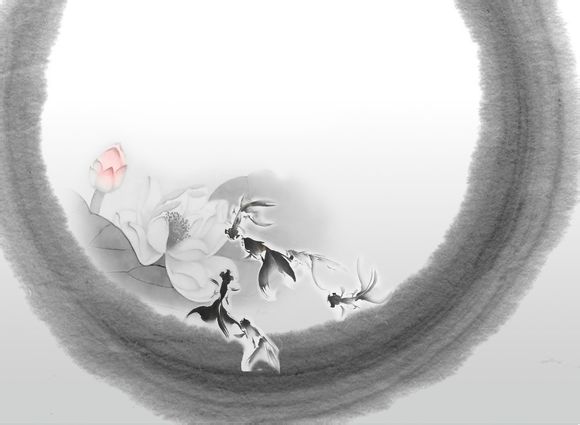 3050显卡为什么不建议买