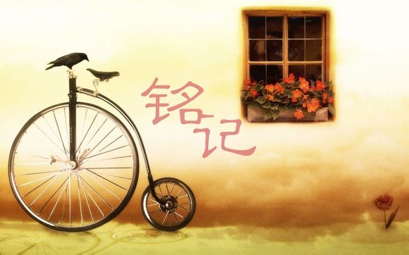 ie7的工具条搜索内置了什么