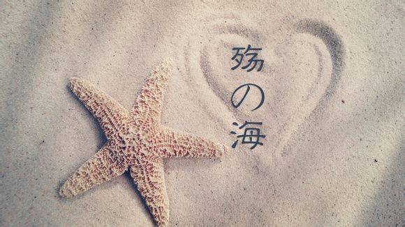 安全教育平台登录账号是什么
