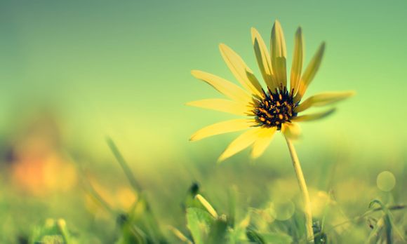 google翻译和百度翻译哪个好