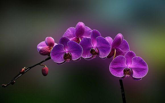 act游戏手机能玩吗