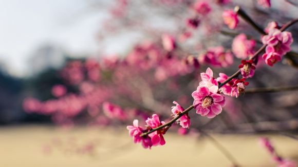 vs2010激活码在哪输入