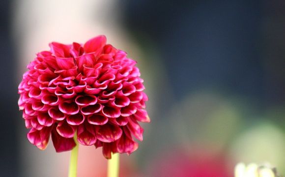 winedt中文乱码怎么解决